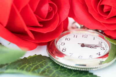 Bouquet 12 Rosas Tallo Corto, Ramo de Rosas Rojas para San Valentín, Rosas Rojas para Sant Jordi, Rosas Rojas, Envíos Florales Urgentes a Puerto del Rosario