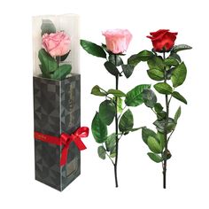 Rosa Preservada, Regalo de San Valentín, Rosa Eterna, Floristería Online, Rosas Naturales, Floristerías en Puerto del Rosario, Floristería Azahar