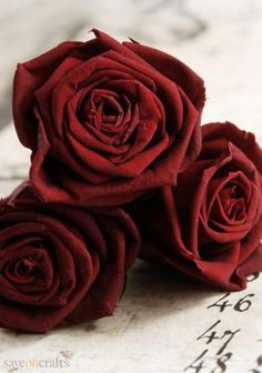 Ramo Funerario 7 Rosas, Ramo para Funeral, Ramo de Flores para Difuntos, Rosas Rojas para Entregar en el Tanatorio, Flores para Tanatorio