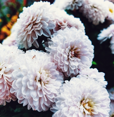 Centro Lágrima tonos Blancos, Enviar Flores Blancas al Tanatorio, Flores para Difuntos, Floristería en Puerto del Rosario, Comprar Flores Online